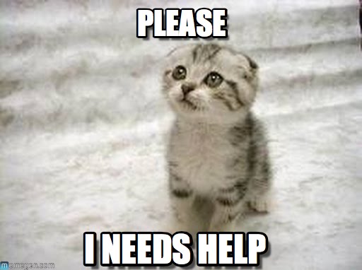 i-needs-help-please-meme of a cute cat